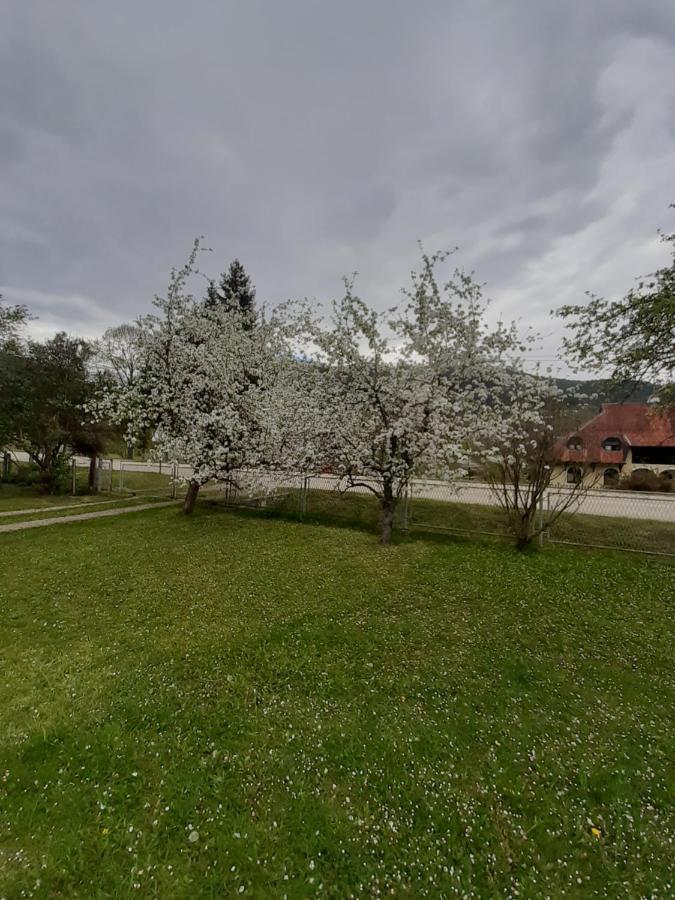 Apartman Djokovic Mokra Gora Luaran gambar