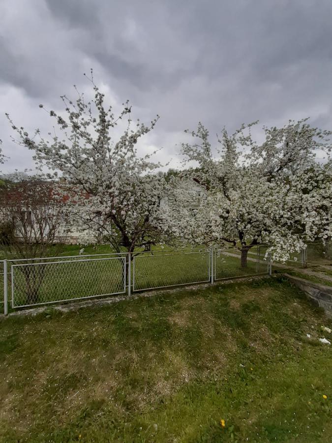 Apartman Djokovic Mokra Gora Luaran gambar